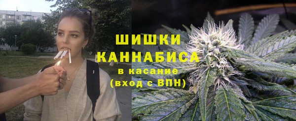 дурь Пестово