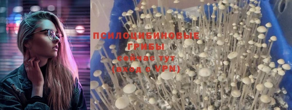 ГАЛЛЮЦИНОГЕННЫЕ ГРИБЫ Пересвет