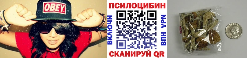 omg зеркало  Арамиль  Псилоцибиновые грибы Magic Shrooms 